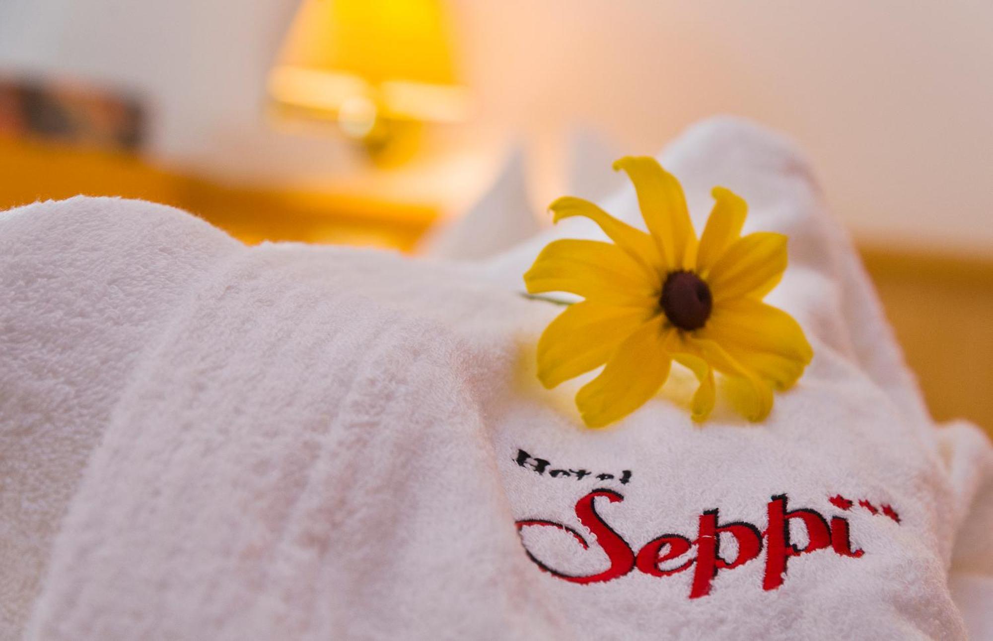 Hotel Seppi Rio di Pusteria Εξωτερικό φωτογραφία